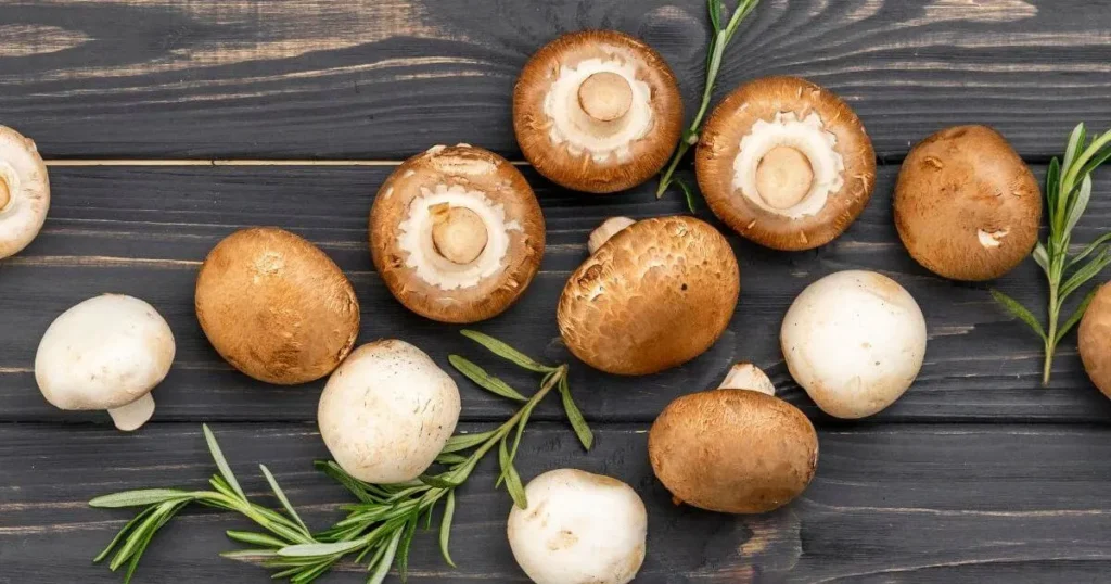 Portobello Mushrooms